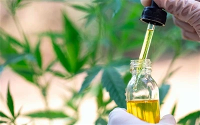 9 ползи за здравето от CBD маслото — и странични ефекти