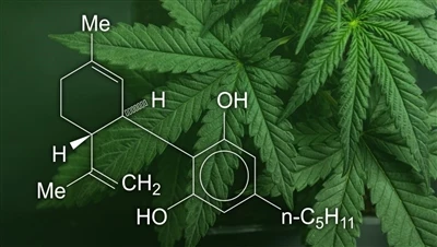 CBD, марихуана и коноп: Каква е разликата между тези продукти от канабис и ко...
