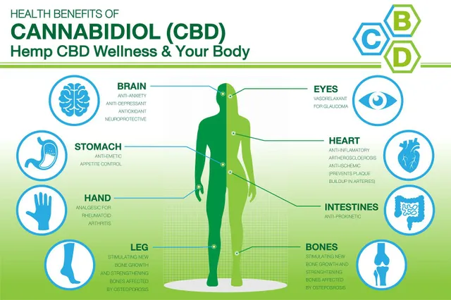 Топ 5 ползи за здравето от CBD маслото — и поглед към страничните ефекти