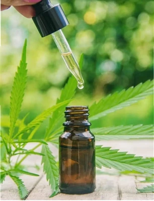 Какво трябва да знаете, преди да опитате CBD