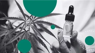 Коноп срещу CBD: Каква е разликата?